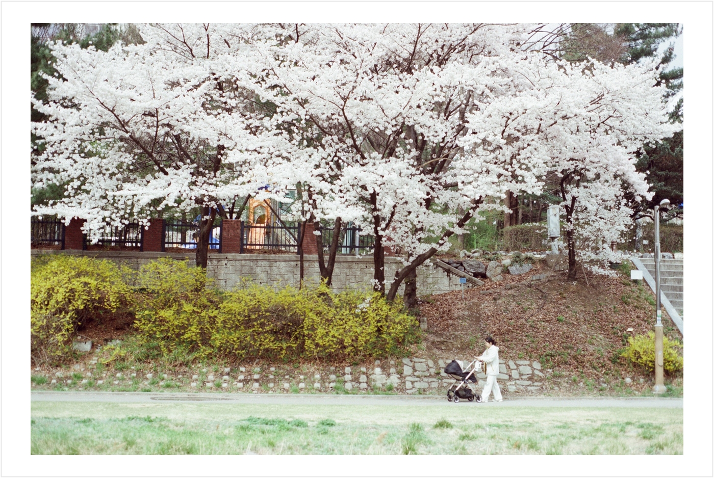 Post image 8
