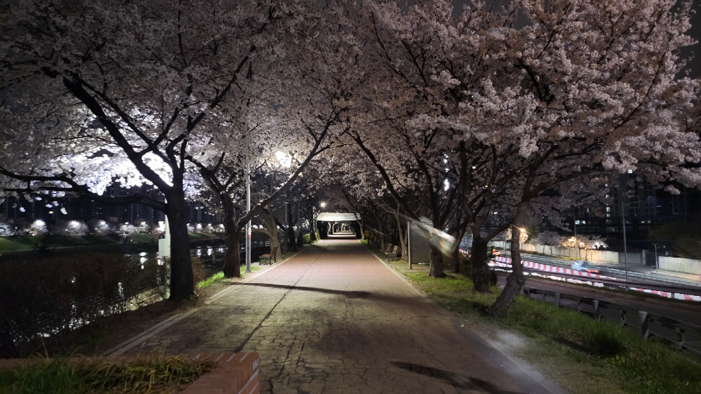 Post image 6