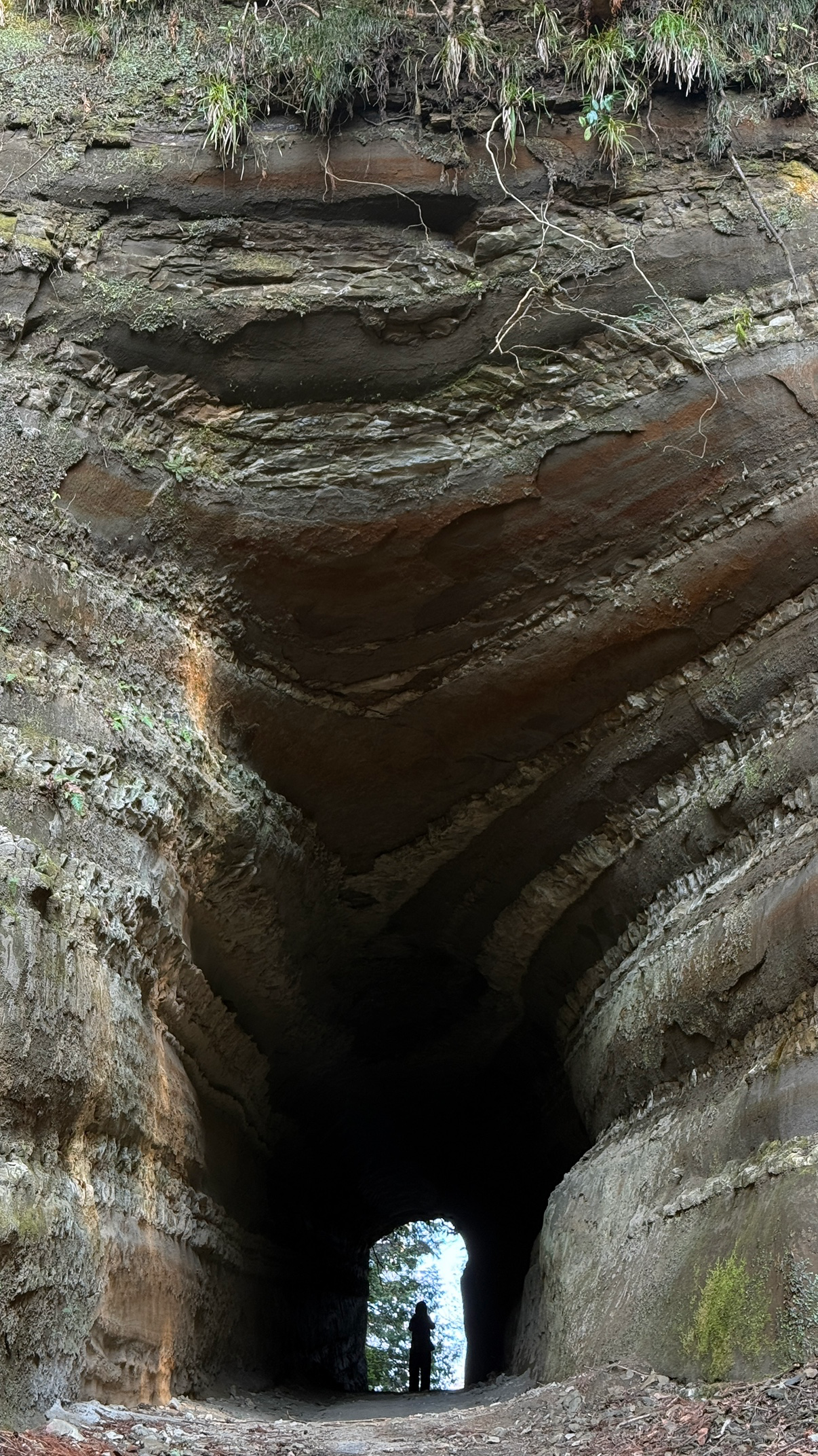 Post image 6