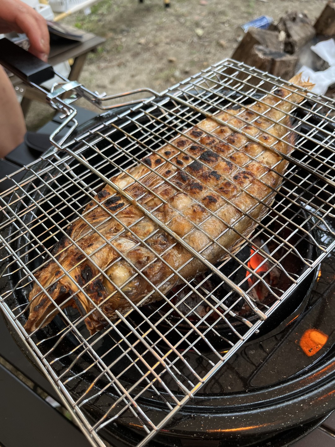 생선 숯불구이입니다