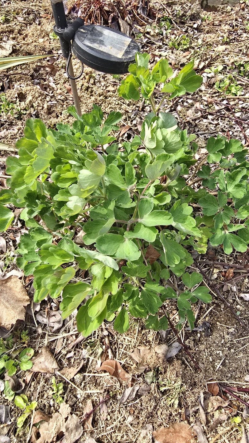 Post image 9