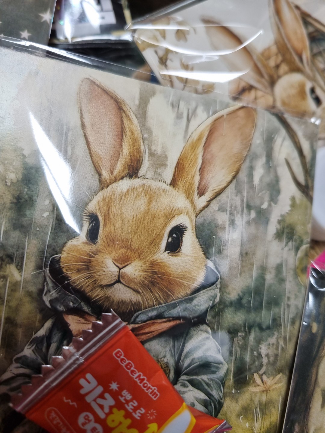 🌸봄봄 시즌 한정 이벤트🌸