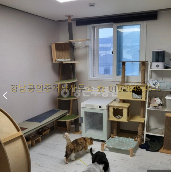 Post image 48