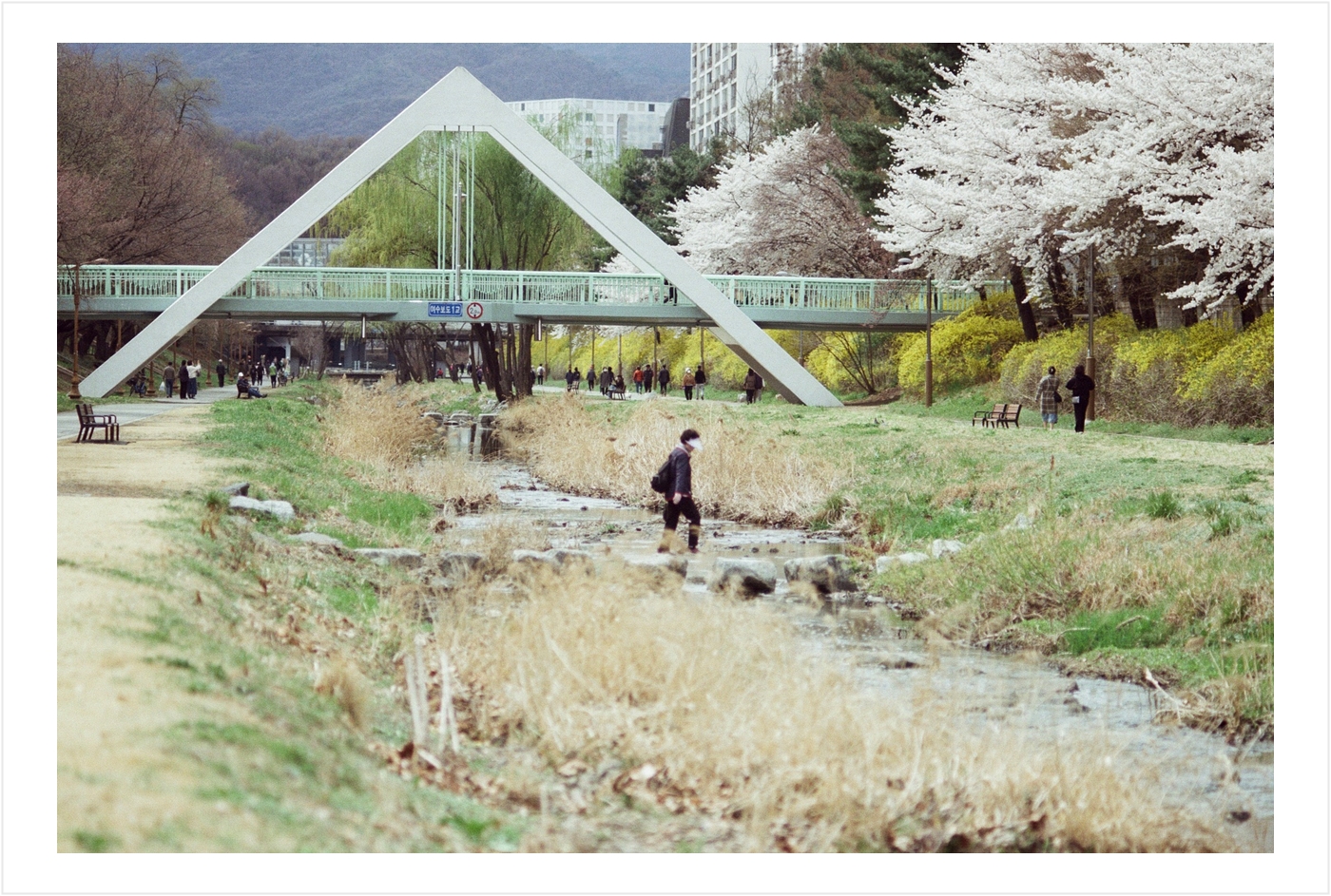 Post image 7
