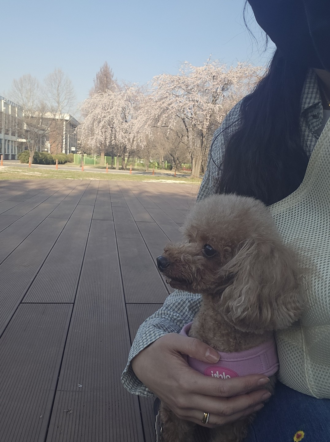 최애 산책 코스 추천해요! 🌳