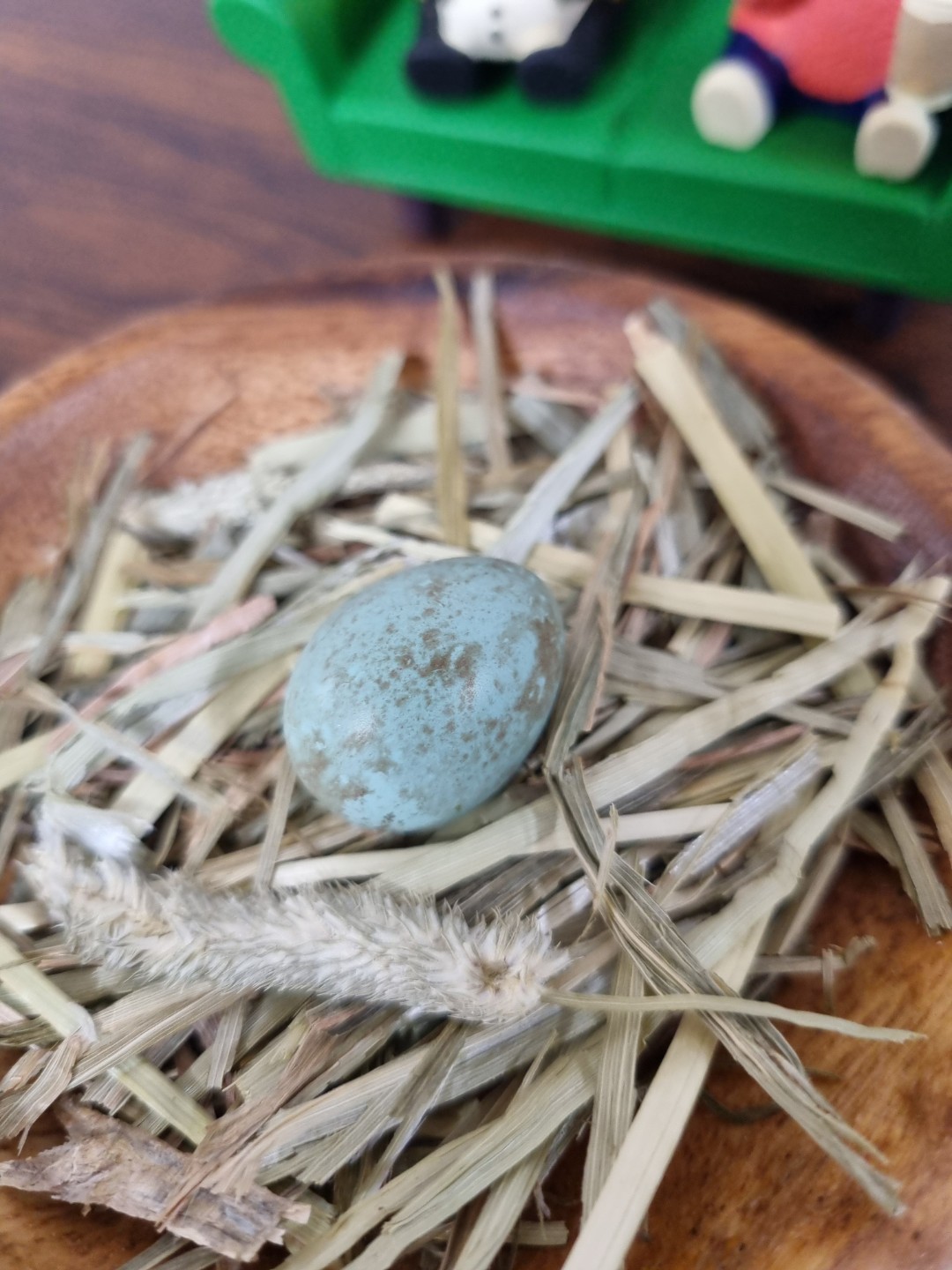 🌸봄봄 시즌 한정 이벤트🌸