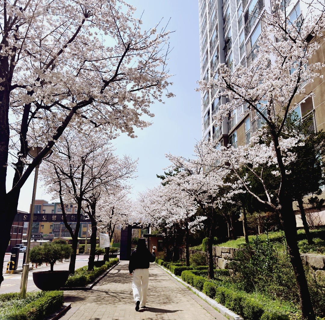 걷기 좋은 날씨! 🌳