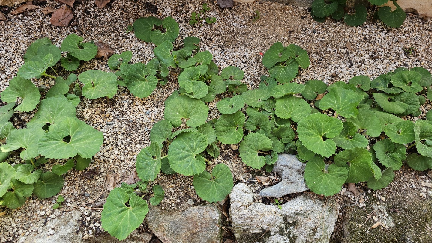Post image 20