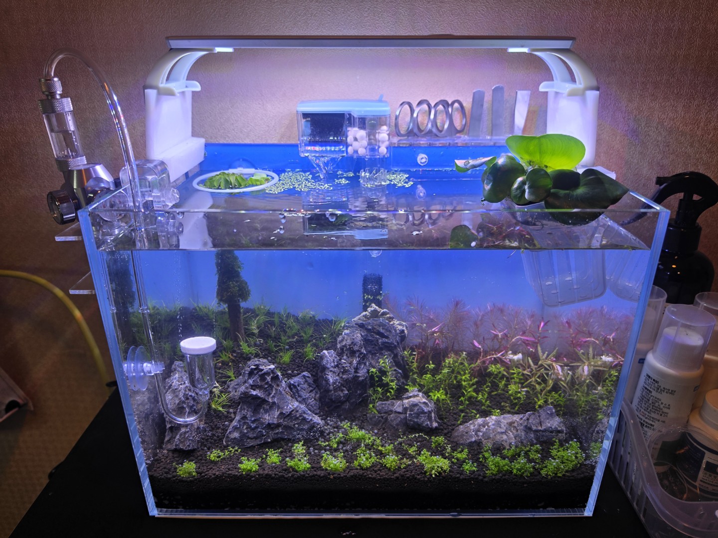 안녕하세요~신입입니다~