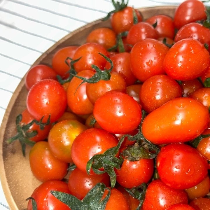 ❤️ 아삭하고 달달한 스테비아 스윗마토 미니스윗마토 ❤️