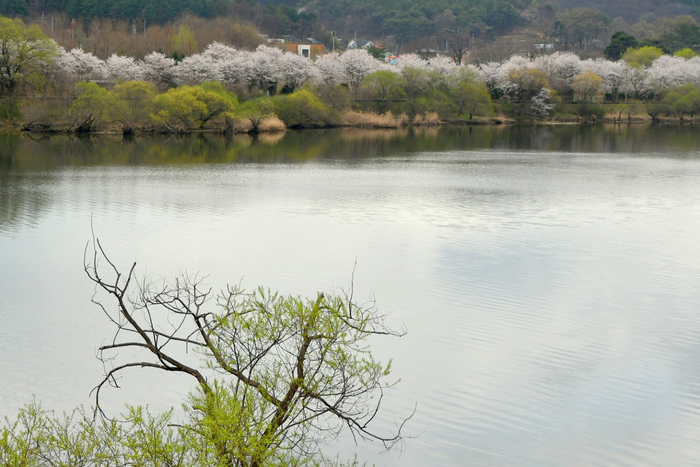 Post image 14