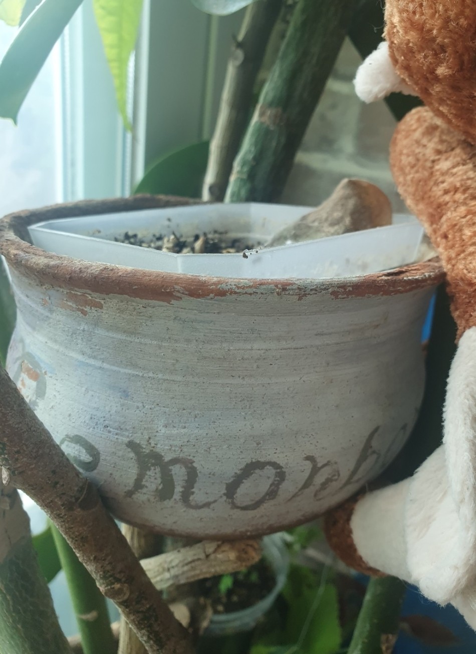 Post image 20