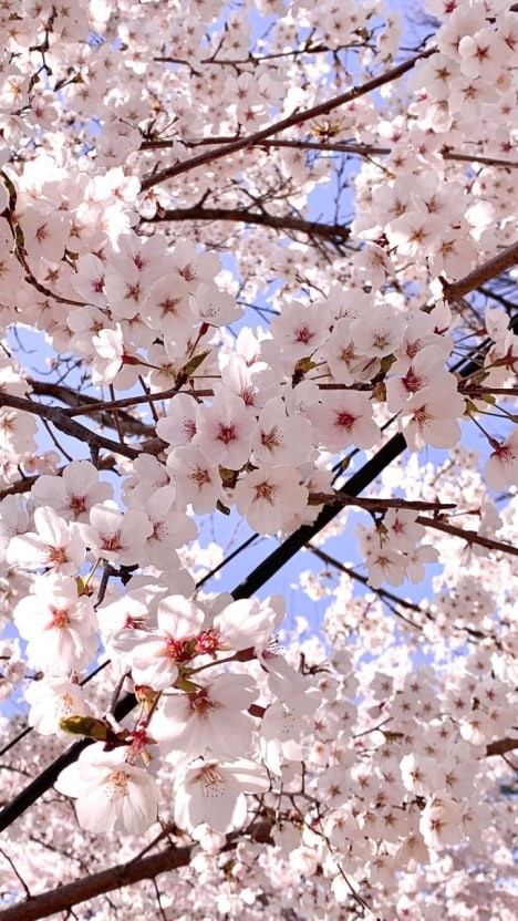 나는 얼마나 작고 무력한 존재인가?