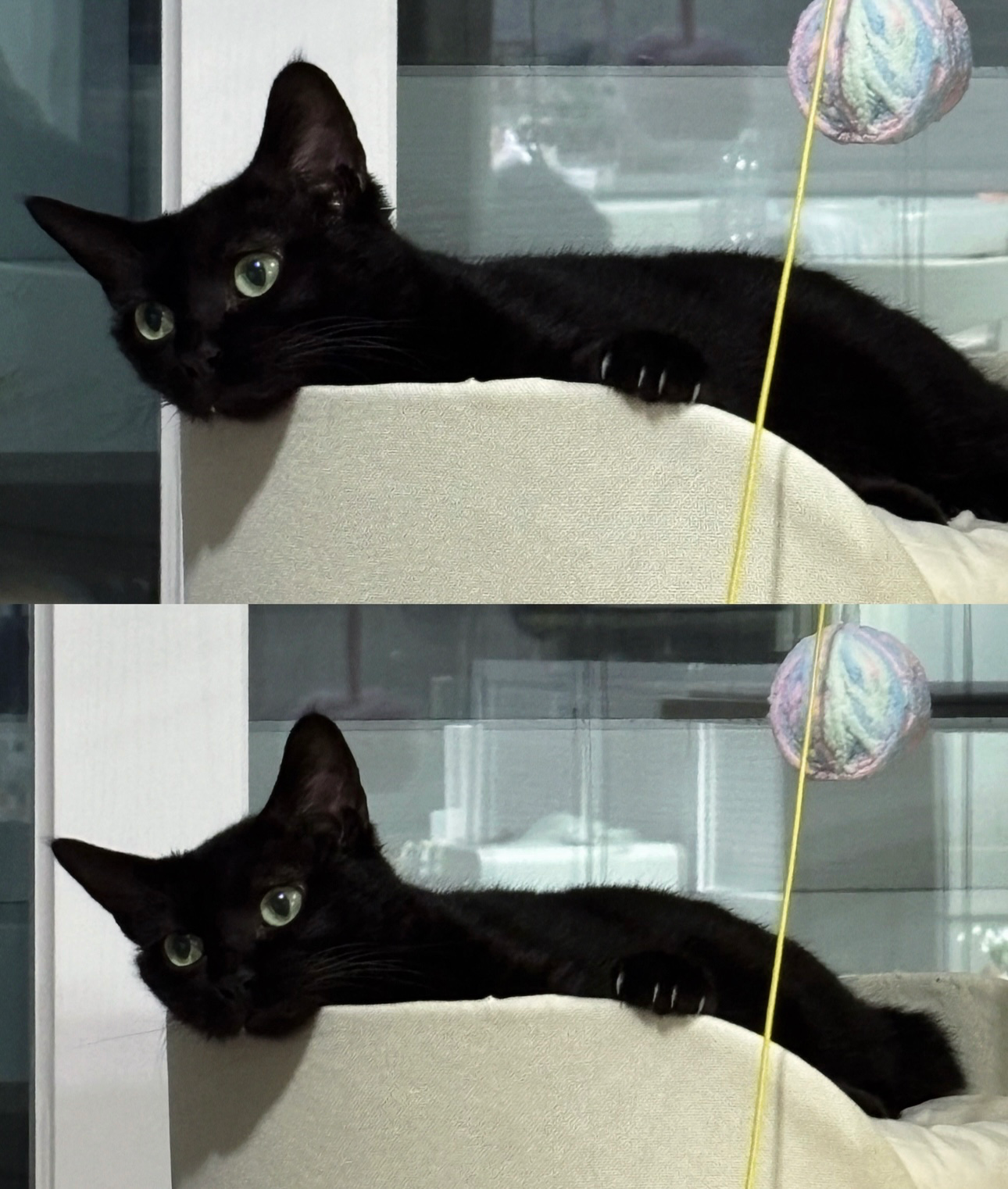 사랑의 힘은 정말 대단해요.