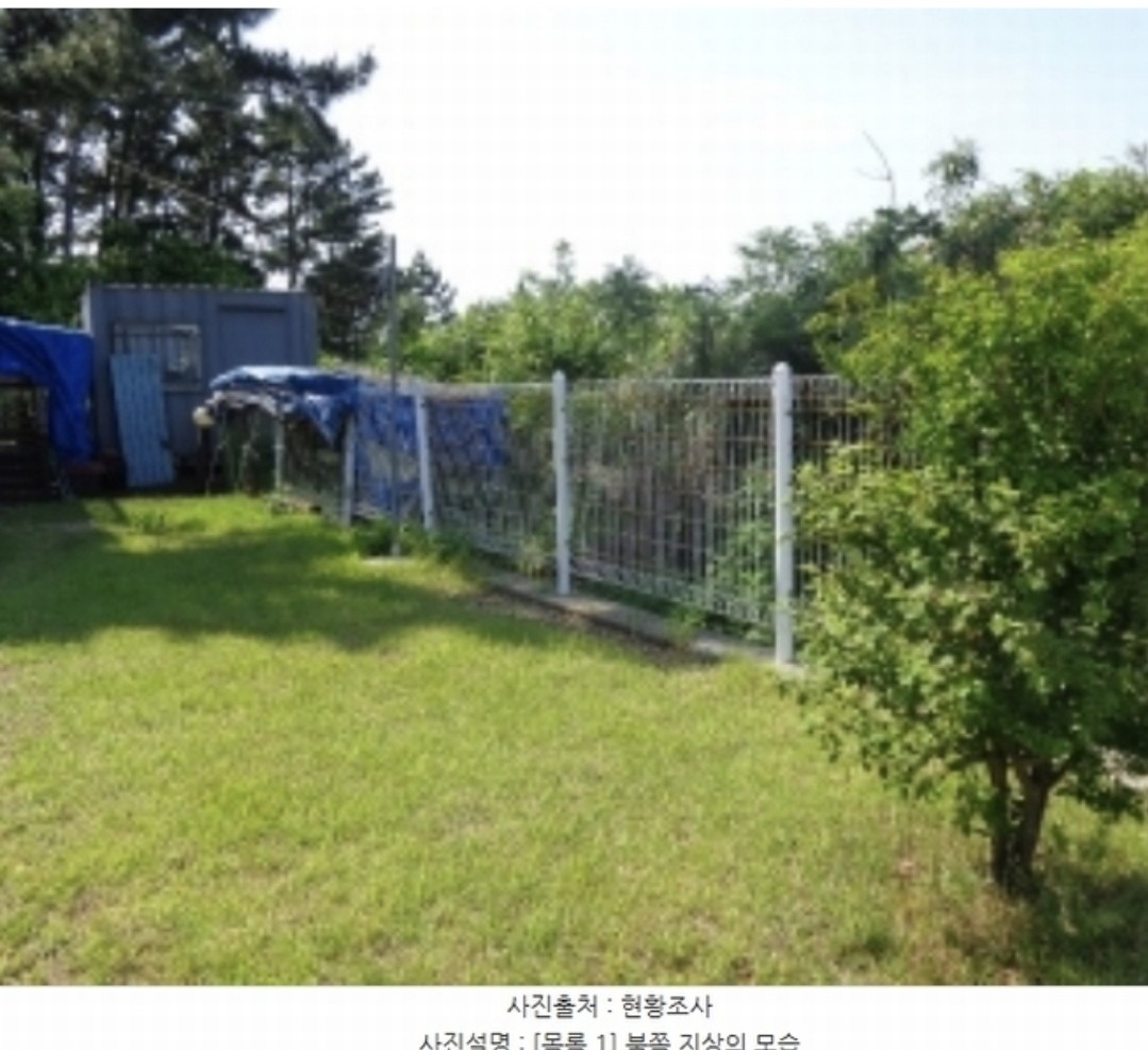Post image 9