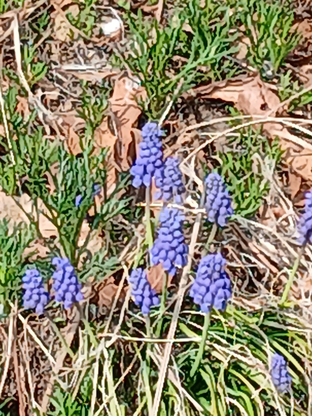 논두렁에도 예쁜 이름 모를 꽃들이