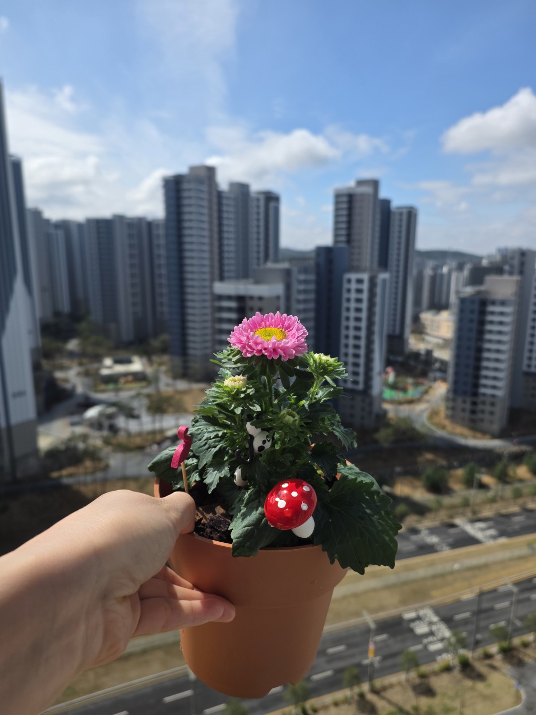 Post image 5
