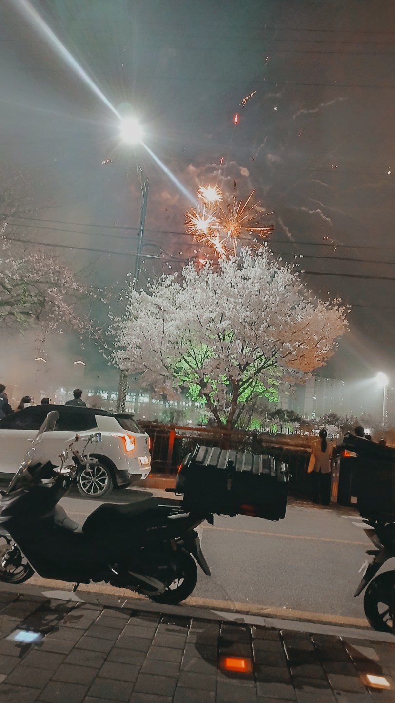 오산천 벗꽃 축제