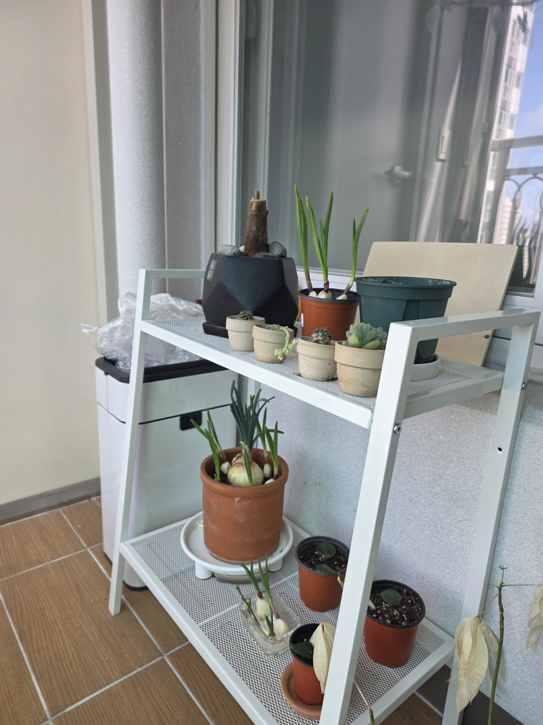 Post image 8