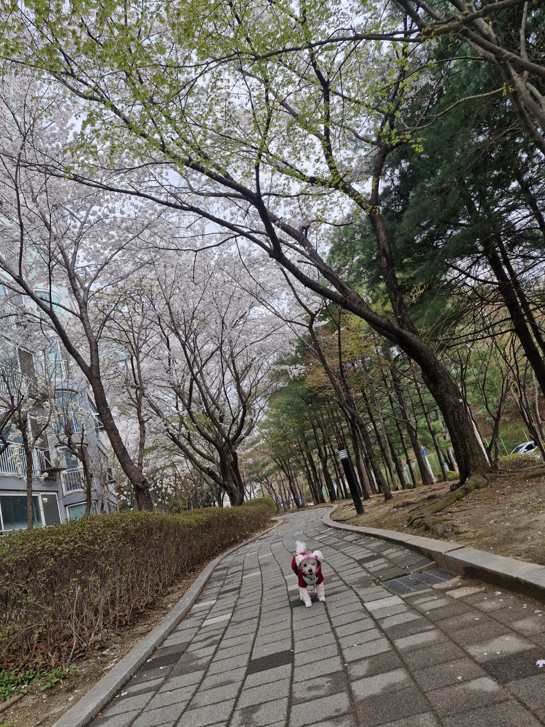 Post image 2
