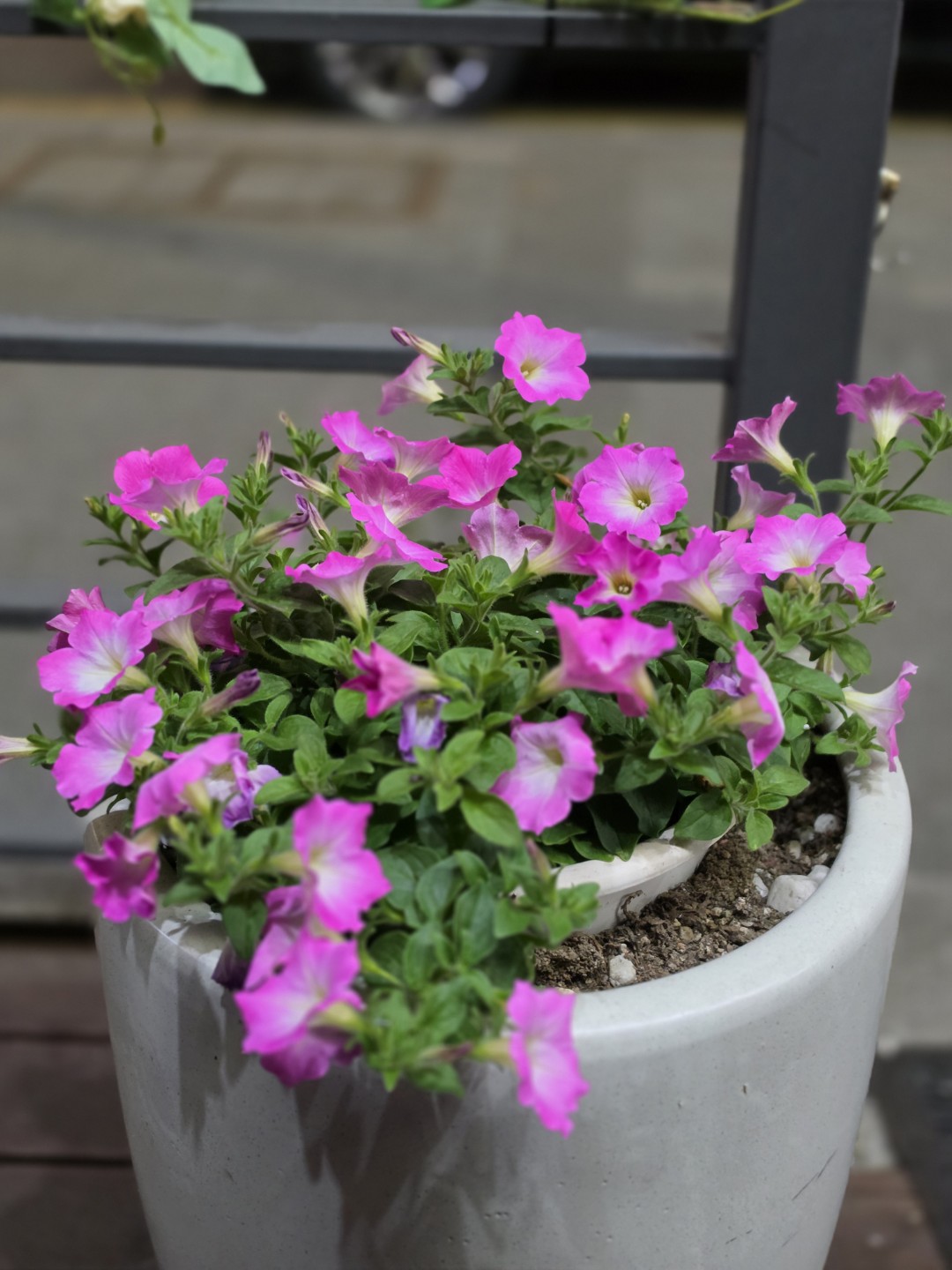 Post image 6