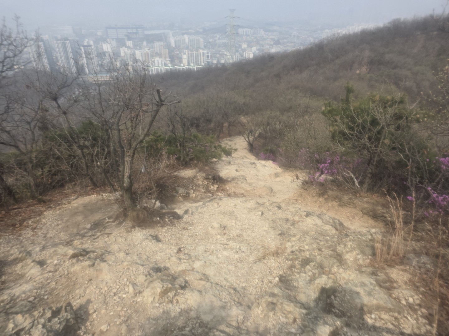 Post image 2