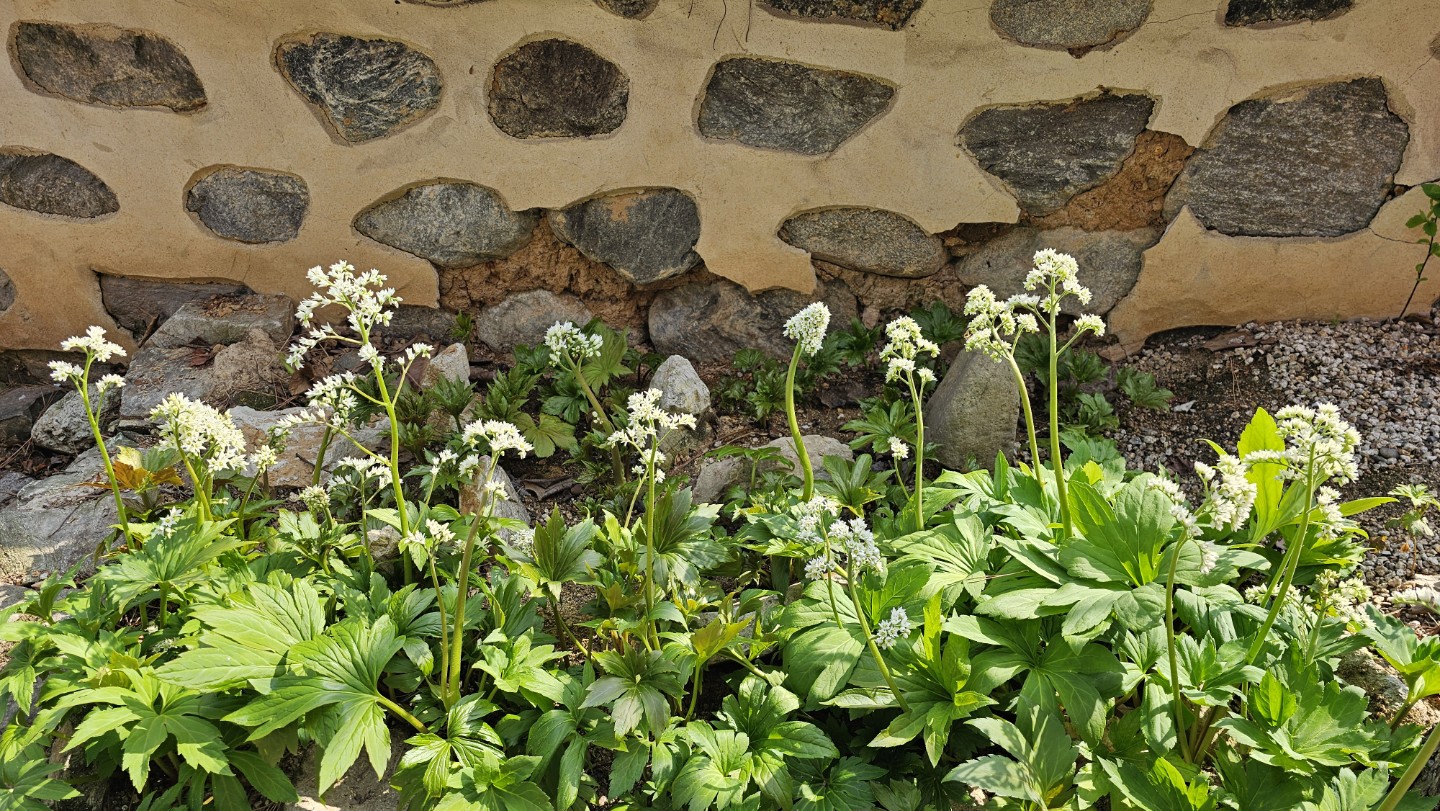 Post image 18
