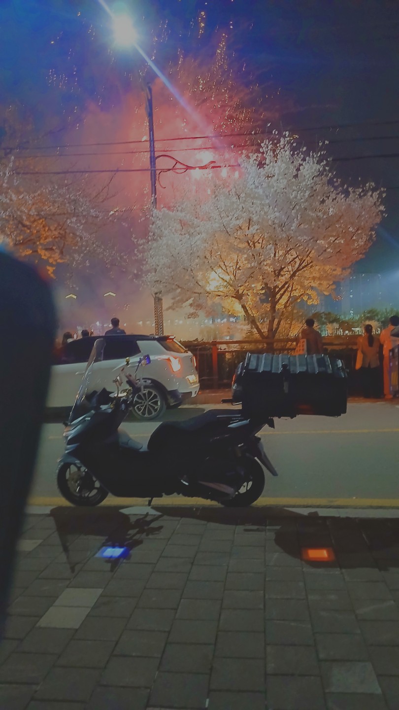 오산천 벗꽃 축제