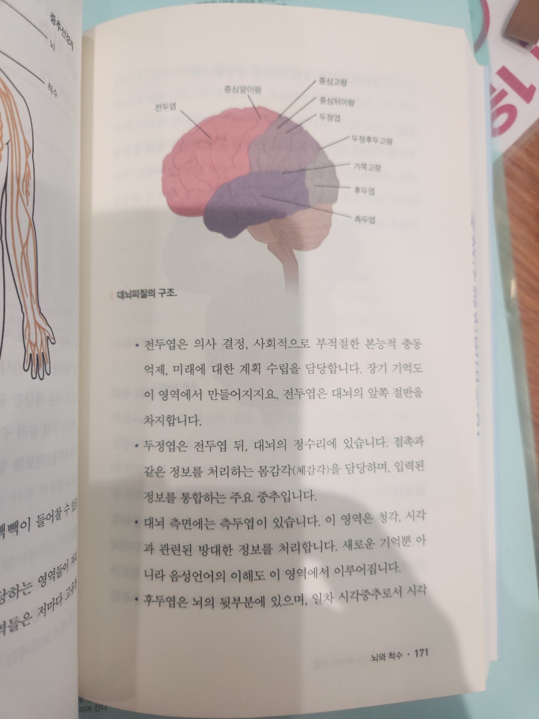 4월 4일 토요일.