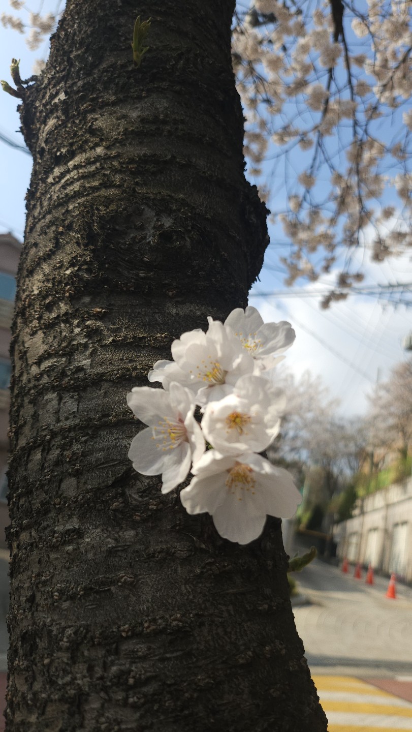 Post image 3