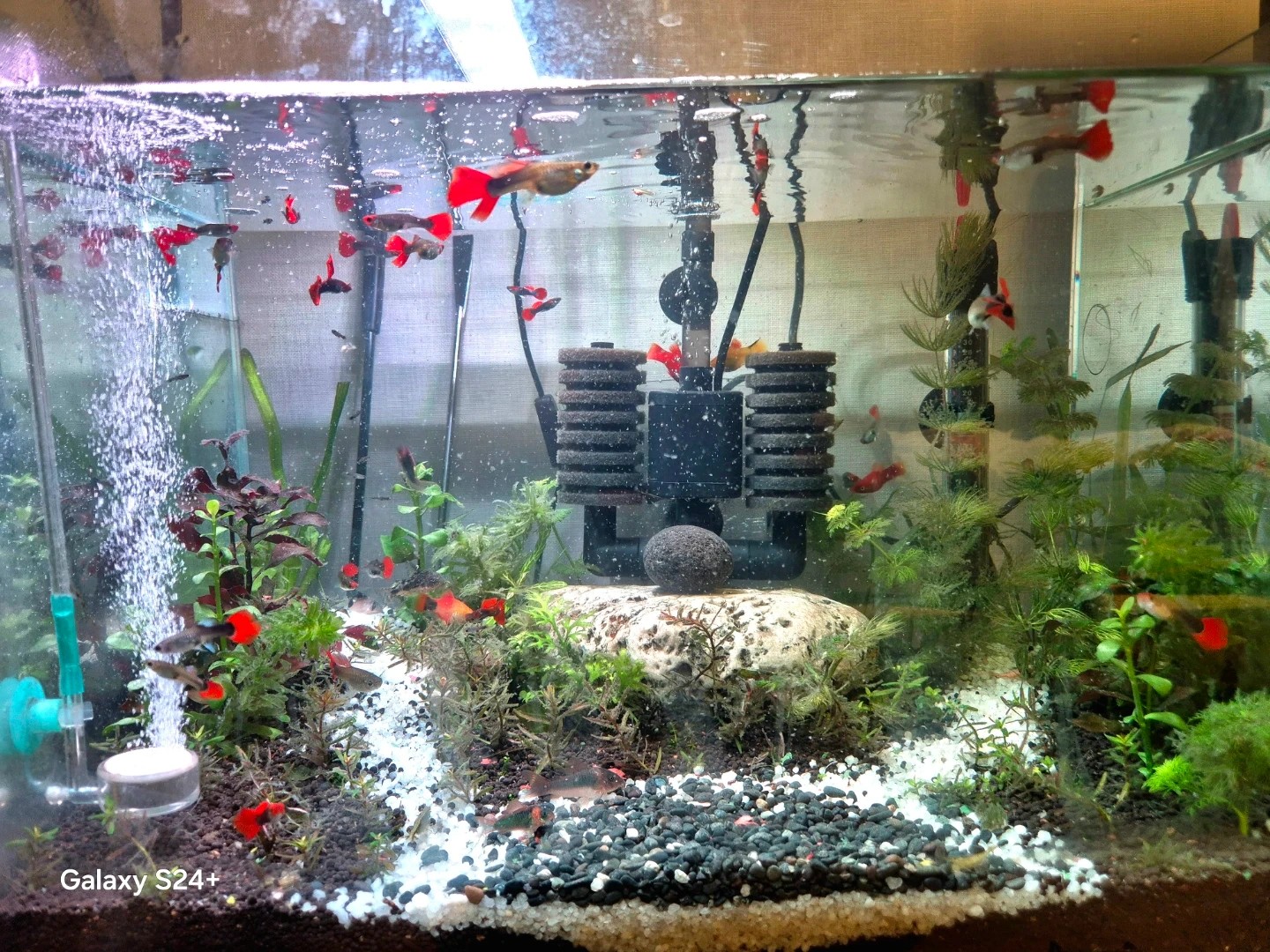 분양 감사드려요.~