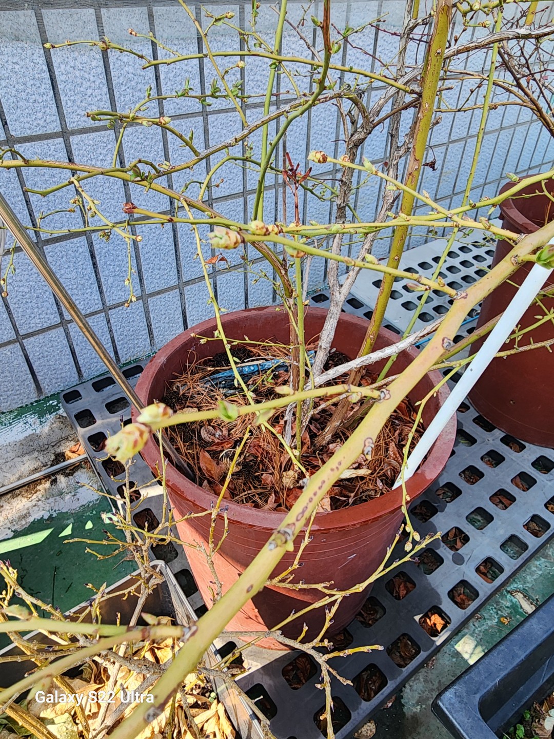 Post image 7