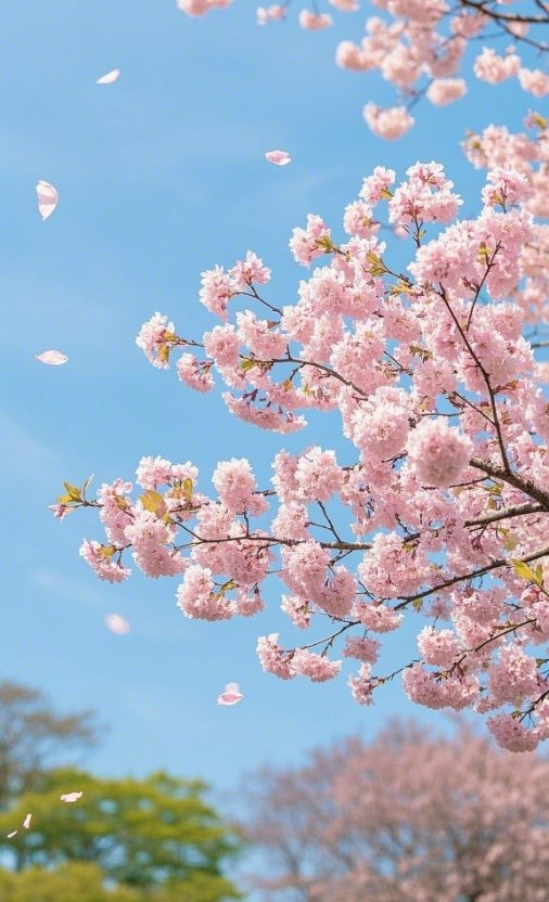 나는 얼마나 작고 무력한 존재인가?