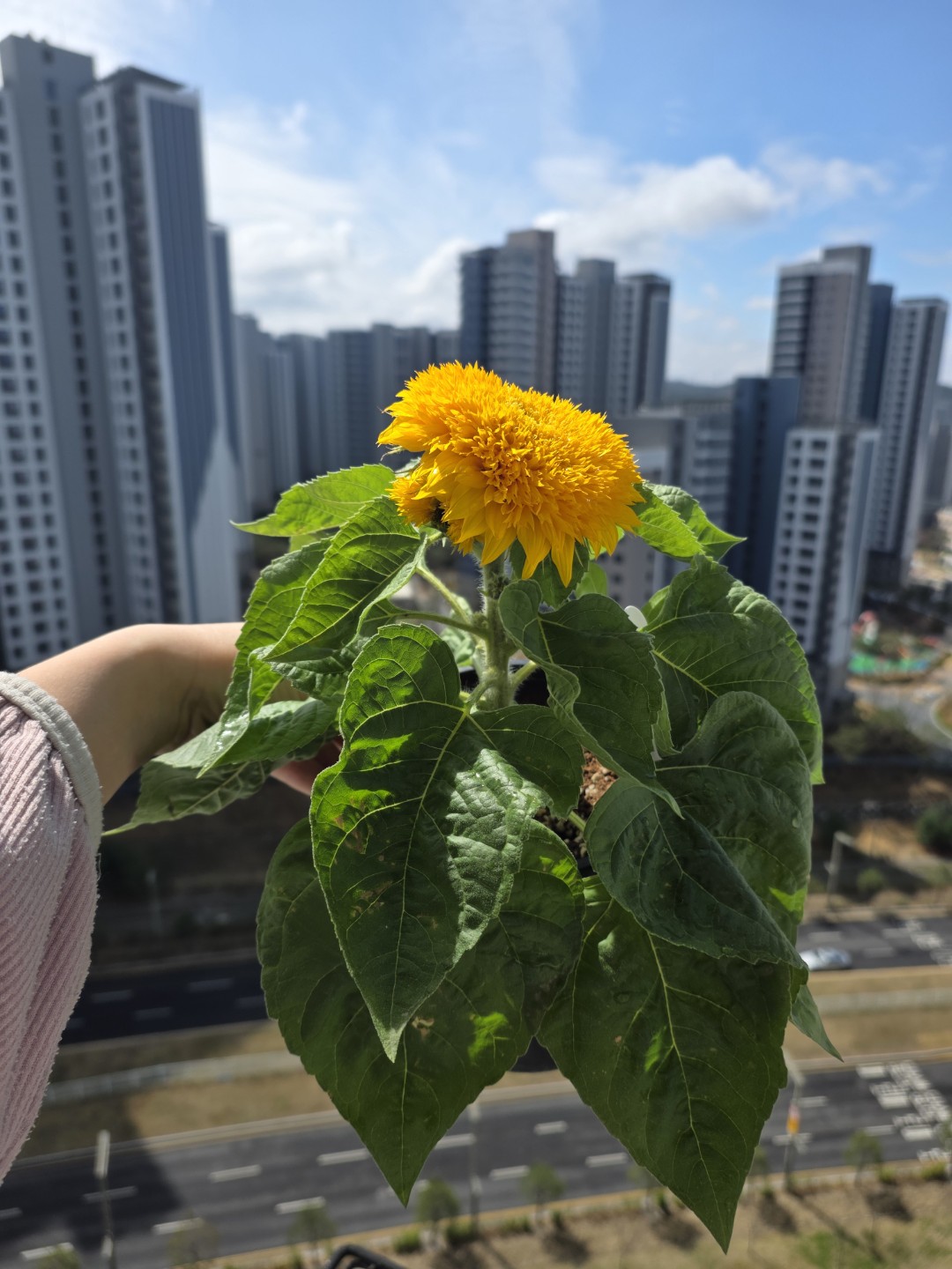 Post image 6