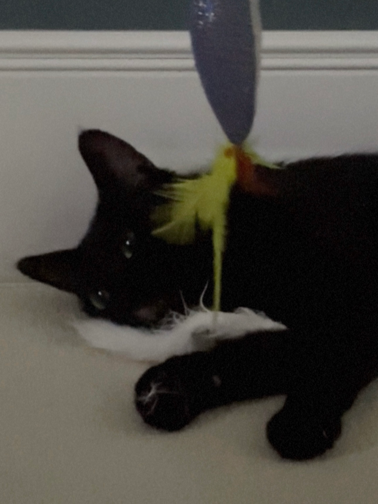 사랑의 힘은 정말 대단해요.