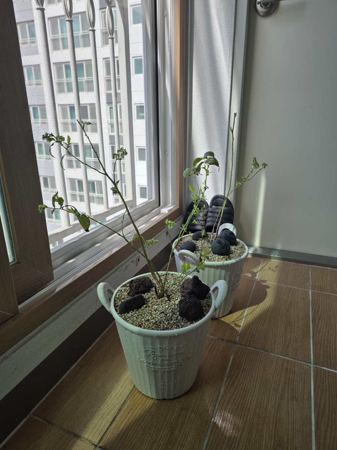 Post image 7