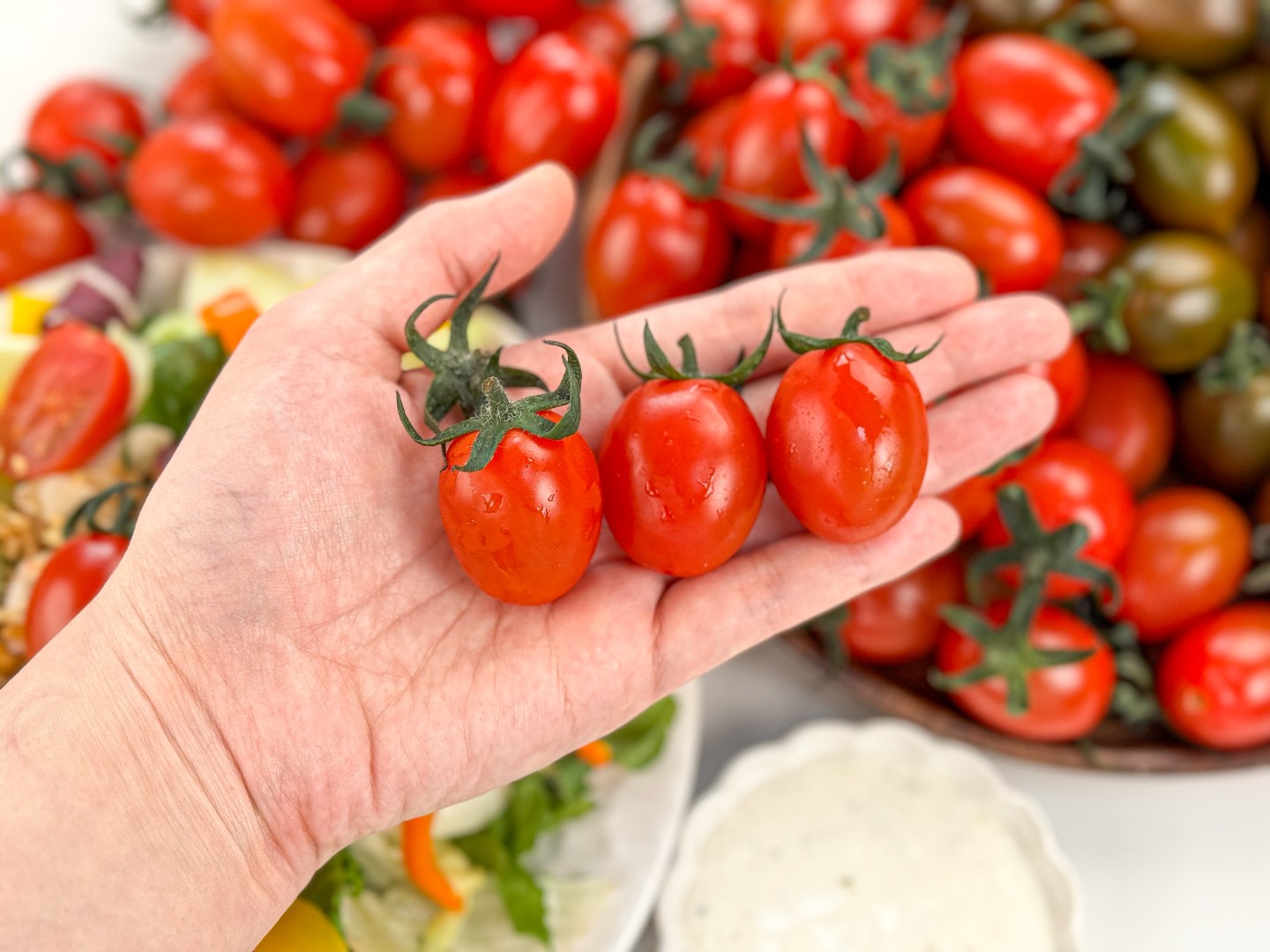 ❤️ 아삭하고 달달한 스테비아 스윗마토 미니스윗마토 ❤️