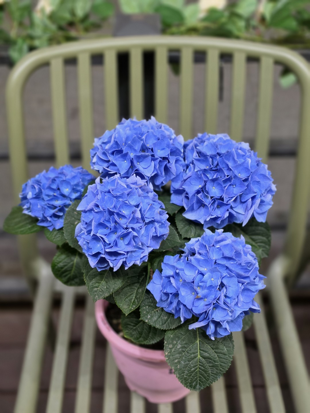 Post image 5