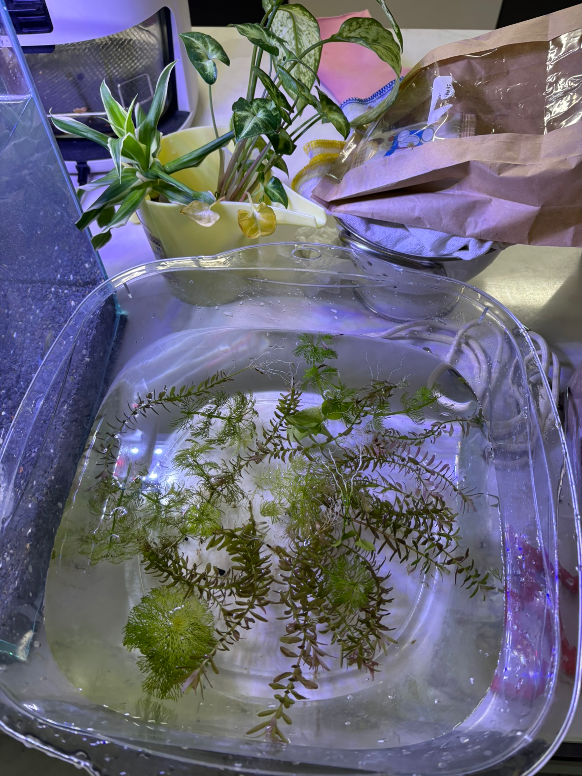 주말이라 큰맘먹고 어항 대공사