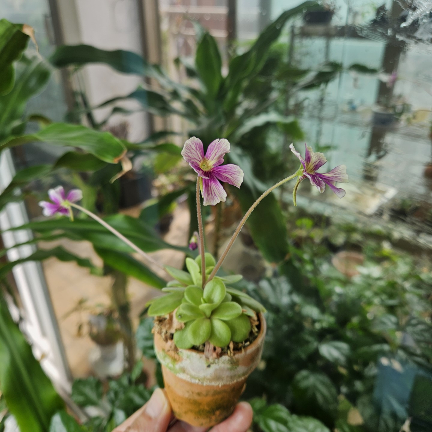 Post image 3