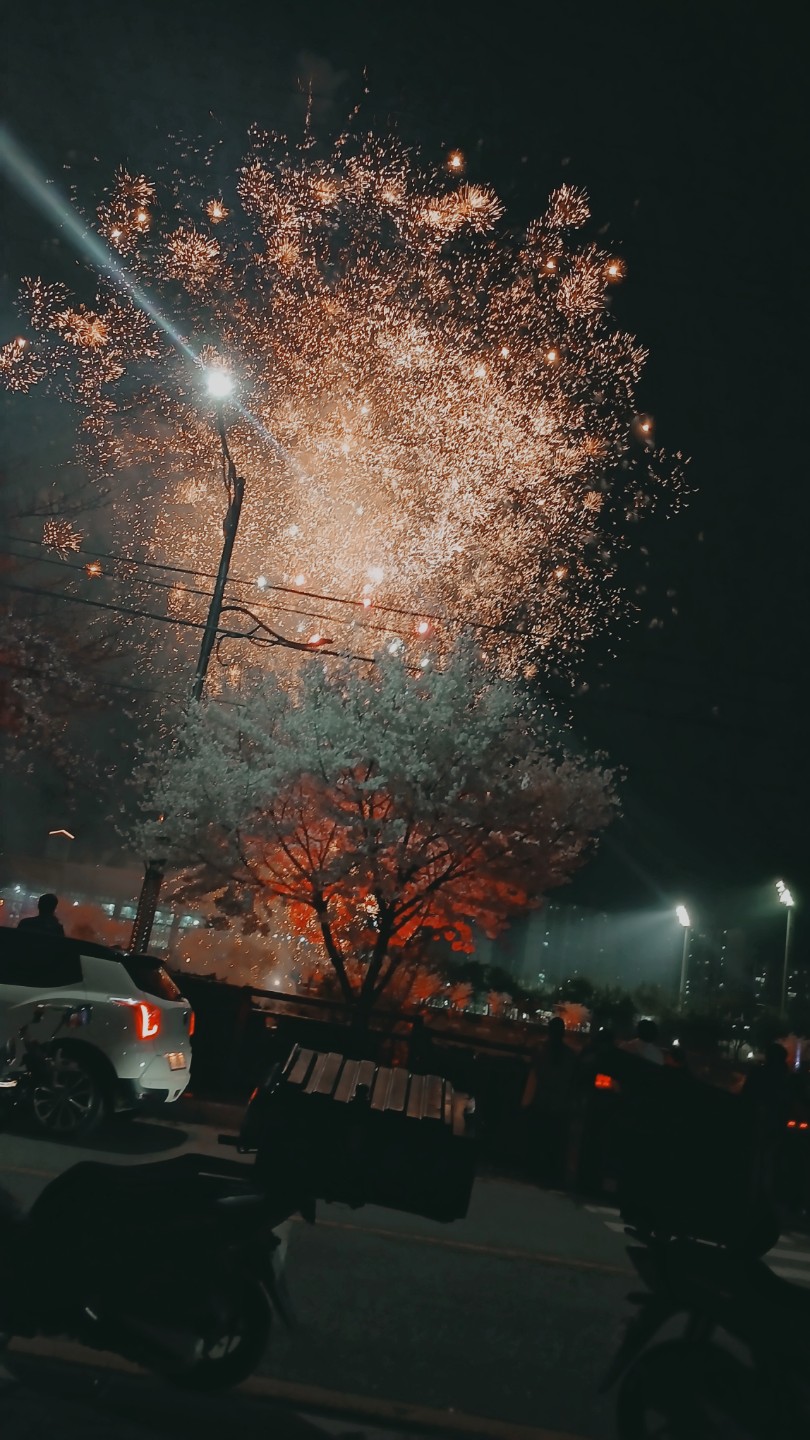 오산천 벗꽃 축제