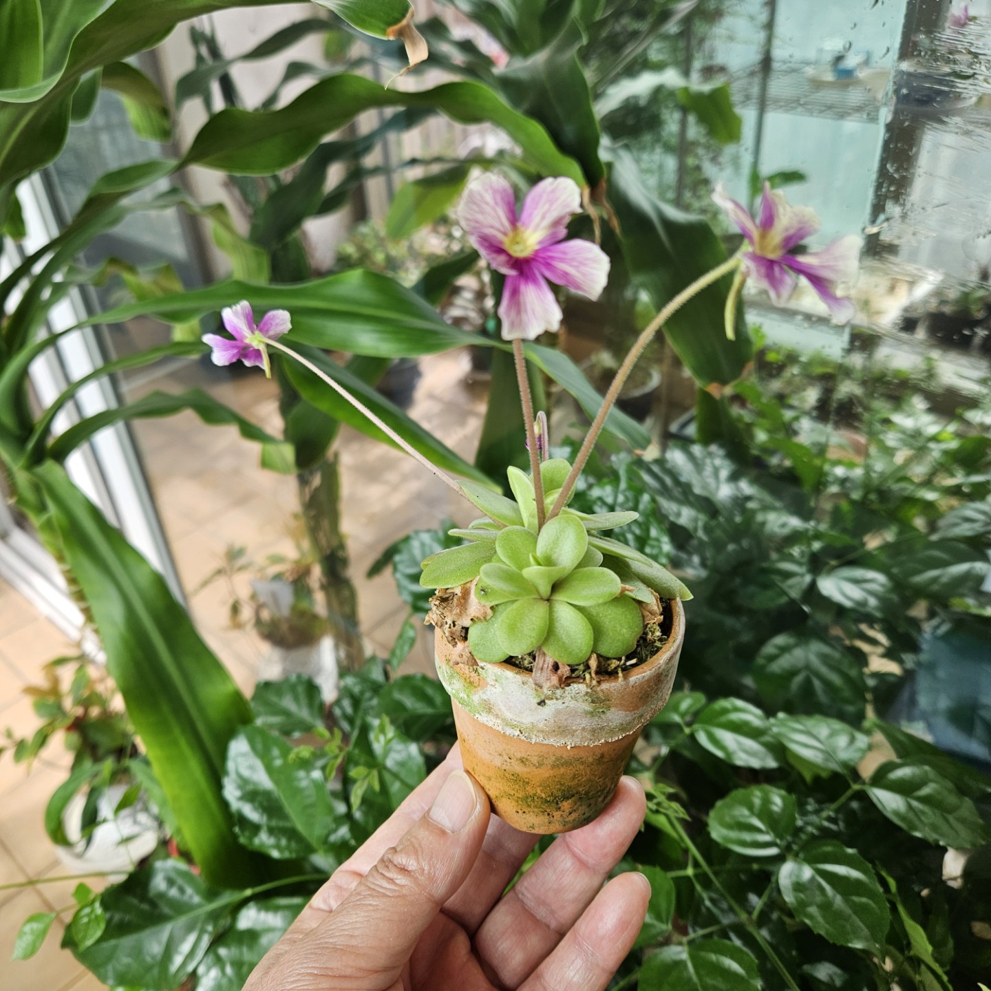 Post image 6