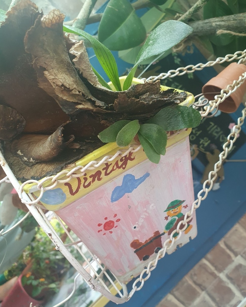 Post image 18