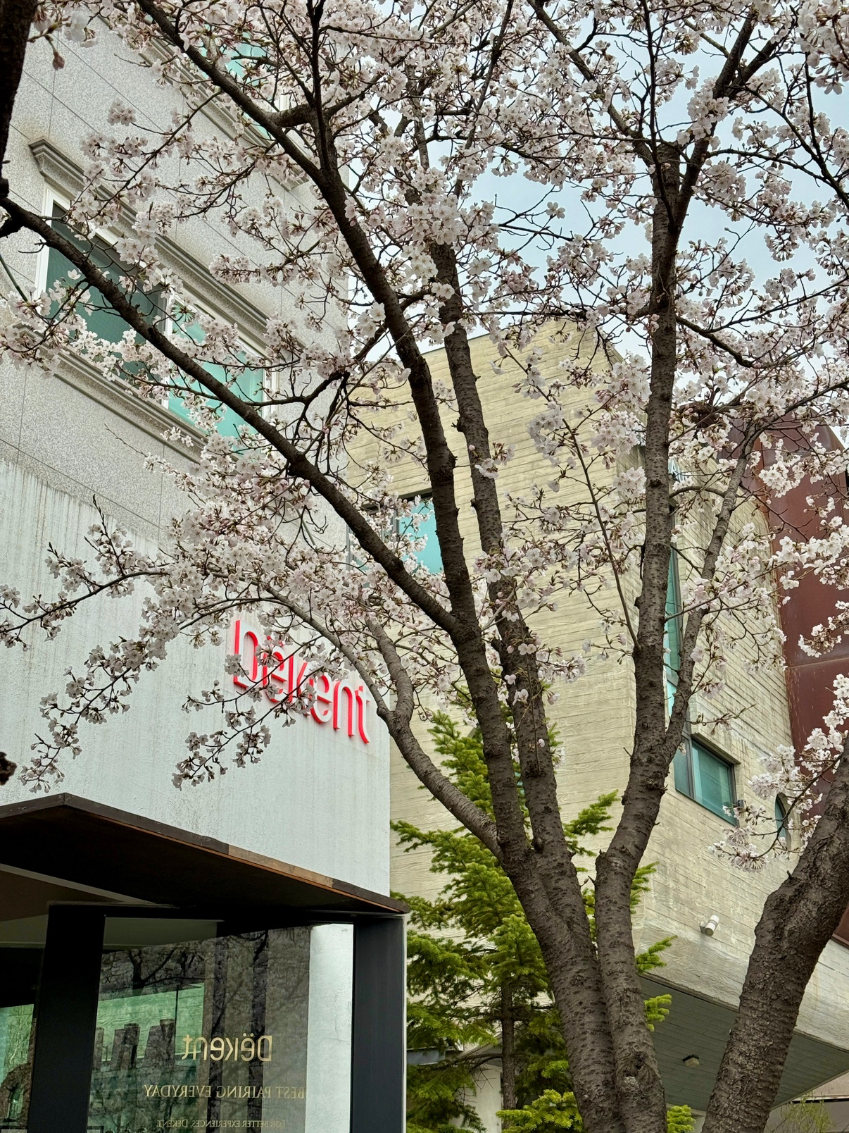Post image 7
