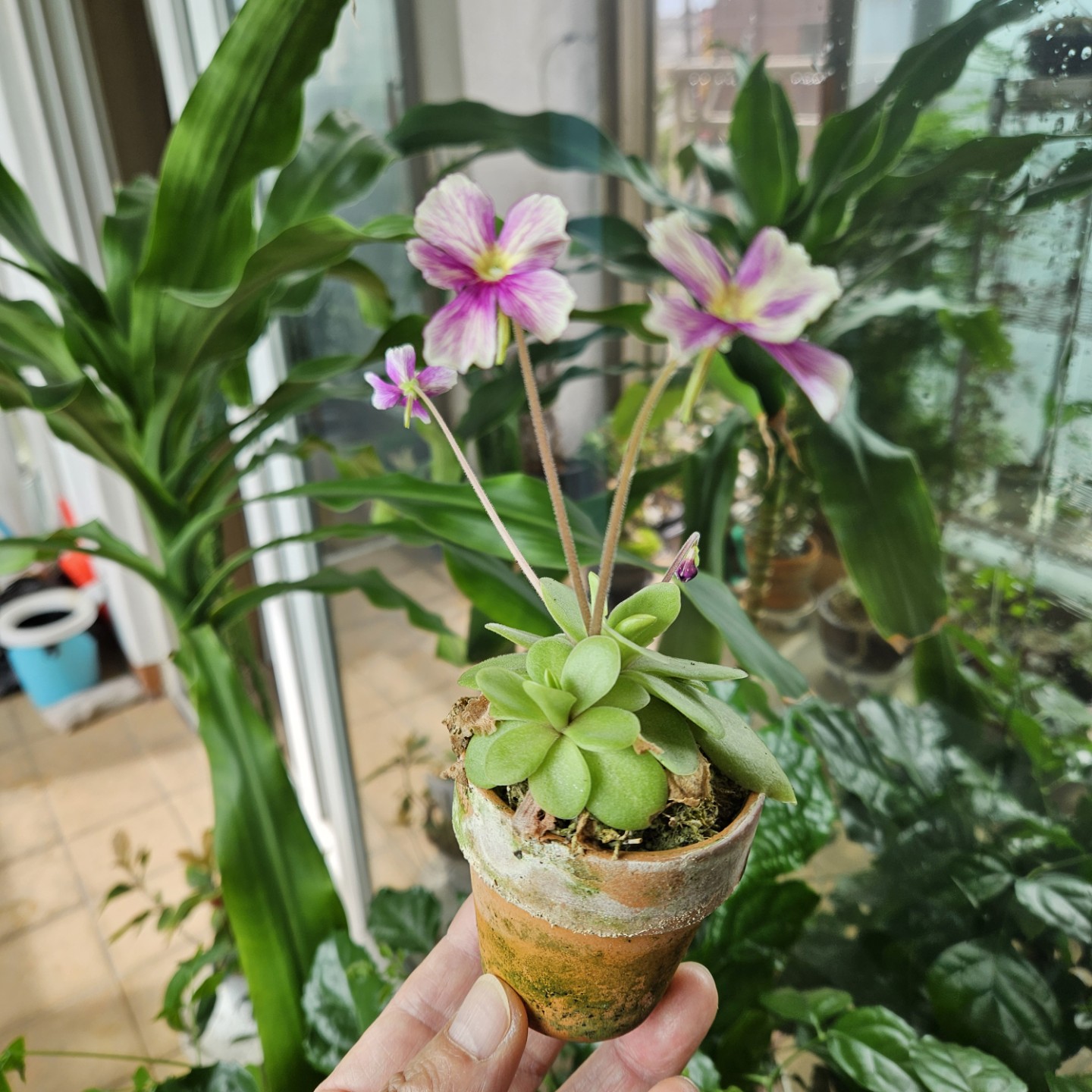 Post image 4