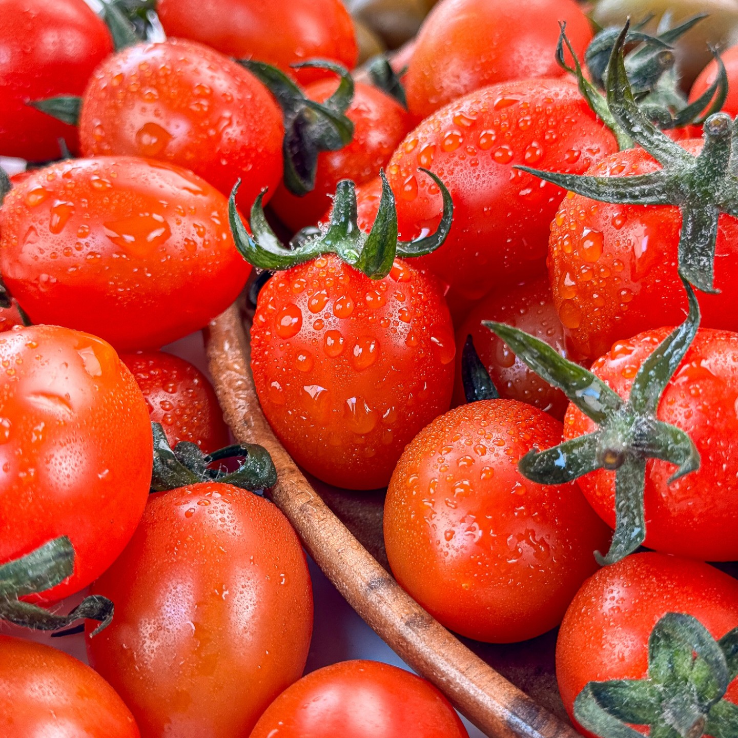 ❤️ 아삭하고 달달한 스테비아 스윗마토 미니스윗마토 ❤️
