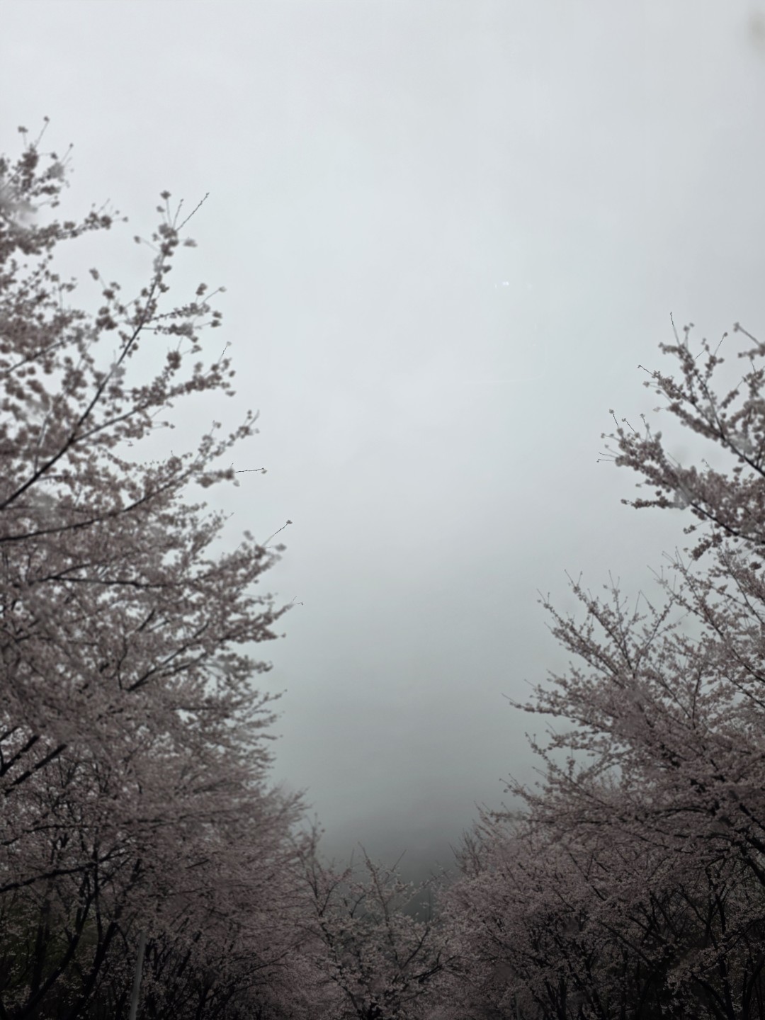 경주입니다. 반가워요