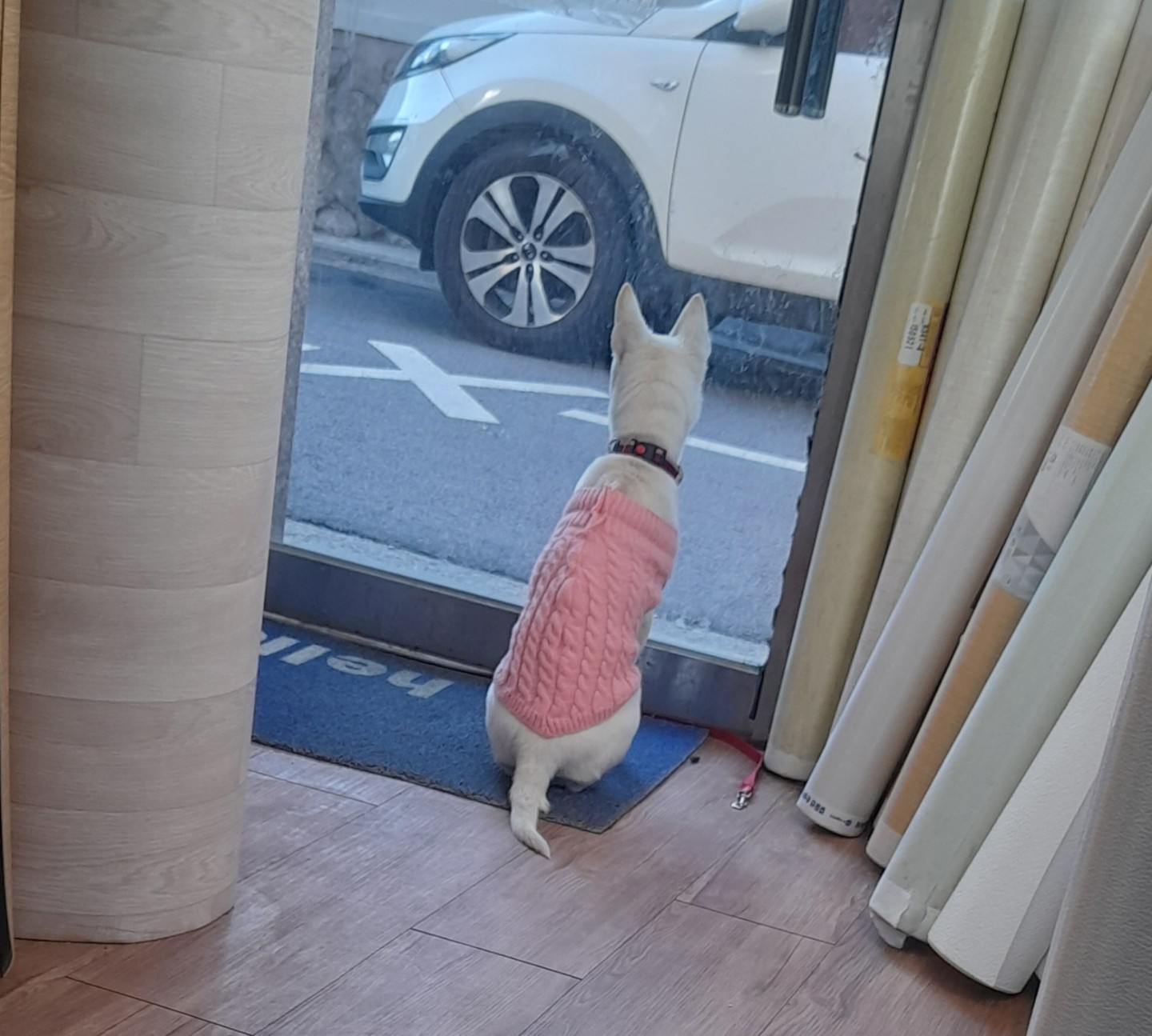안녕하세요