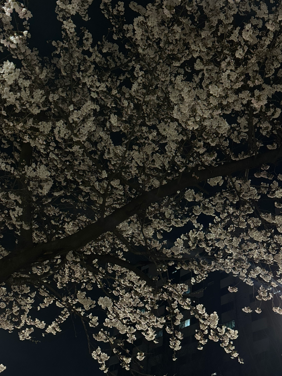 일상 속 작은 발견! ✨