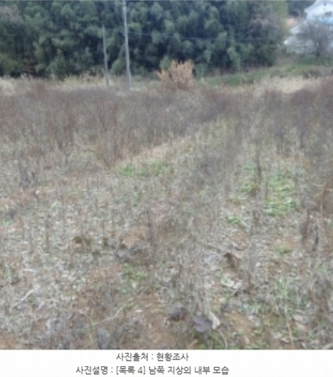 Post image 13
